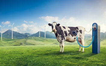 Kuh an einer Ladesäule, auf einer Wiese mit Windkraftwerken und Bergen im Hintergrund