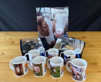 Ein Foto von Kühen, 2 T-Shirts mit Kühen bedruckt und 7 Tassen mit Fotos von Kühen auf einem Tisch