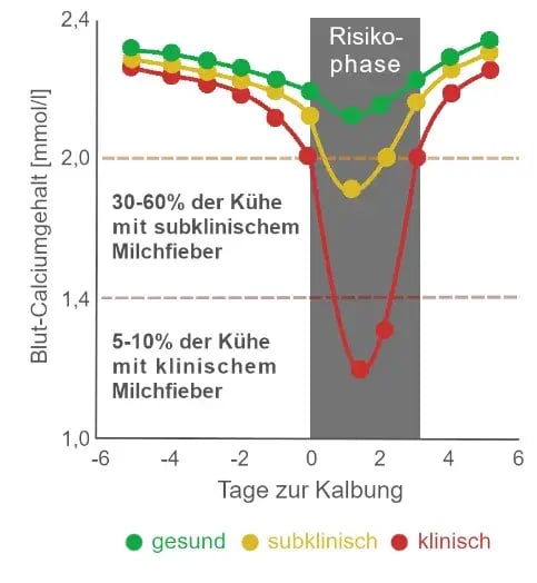Blut-Calciumgehalt_Milchfieber