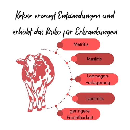 Ketose-Auswirkungen