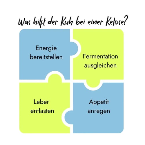 Ketose-Behandlung