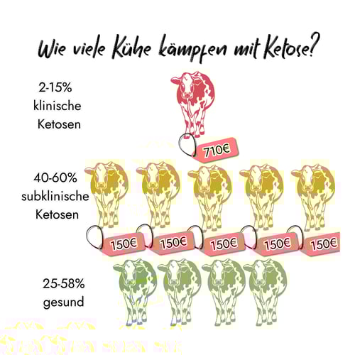 Ketose-Statistik