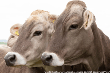 PerformaNat in der Broschüre der deutschen Milcherzeugergemeinschaft