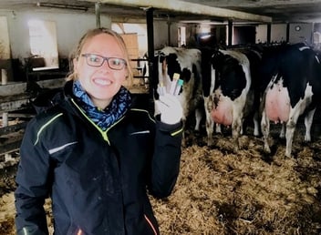 Frau in einem Kuhstall