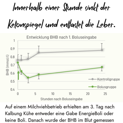 ketonspiegel-senkung-performanatenergiebolus