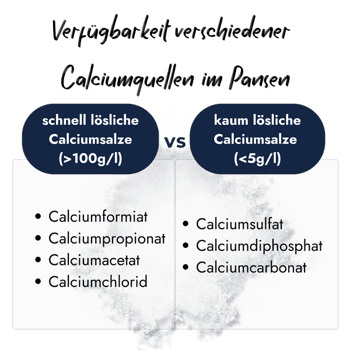 loeslichkeiten-calciumquelle-im-pansen