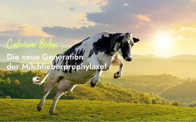 loesung_calciumbolus_uebersicht