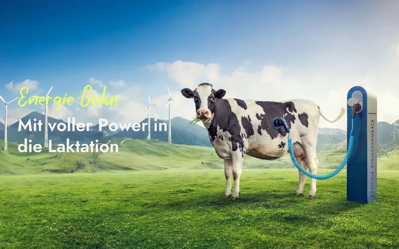 loesung_energiebolus_uebersicht