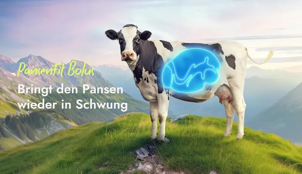 loesung_pansenfit_uebersicht-ansicht