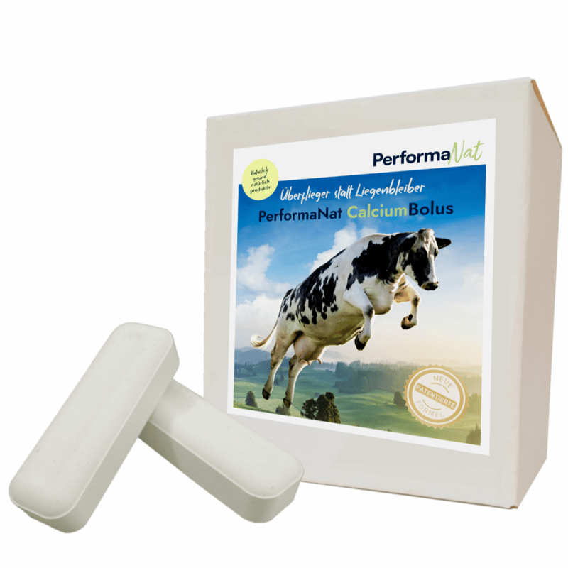 produkt-calcium-bolus