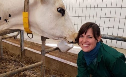 Eine Frau und eine weiße Kuh, die ihre Köpfe aneinander halten