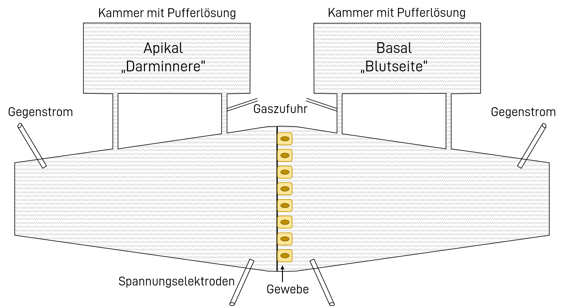 Grafik des Ussingkammer-Modells