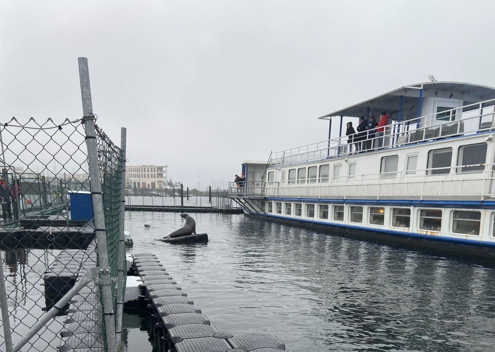 Foto von einem Boot am Wasser